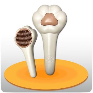 برس گربه و سگ