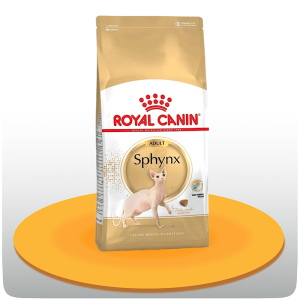 غذای خشک گربه اسفینکس رویال کنین