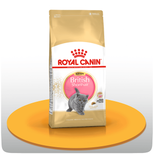 غذای خشک کیتن بریتیش رویال کنین