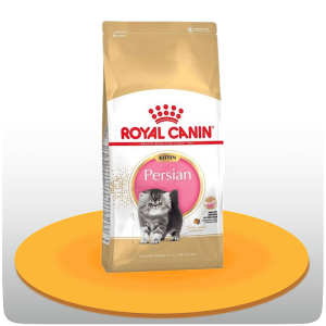 غذای خشک گربه کیتن پرشین رویال کنین