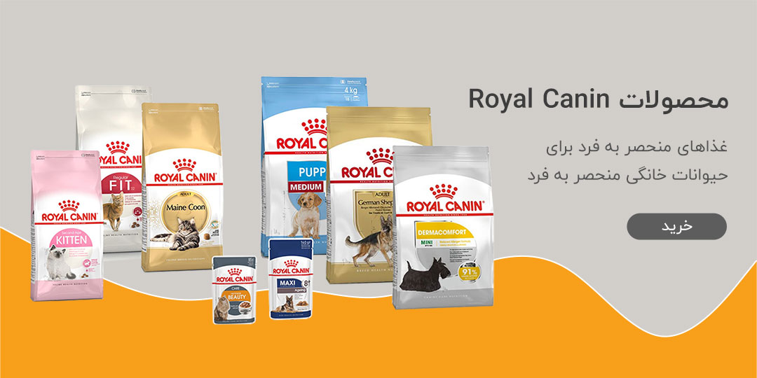 محصولات رویال کنین