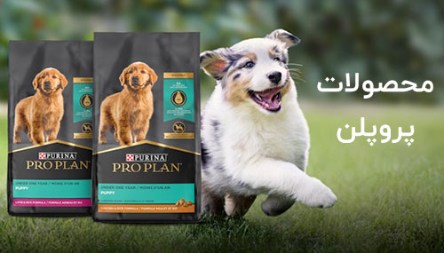 محصولات پروپلن