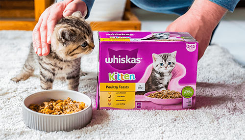 محصولات ویسکاس