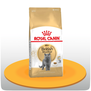 غذای خشک گربه بریتیش ادالت رویال کنین