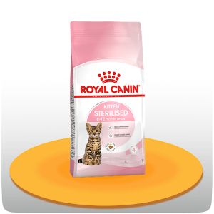 غذای خشک گربه کیتن استرالایز رویال کنین