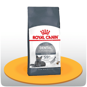 غذای خشک گربه دنتال رویال کنین